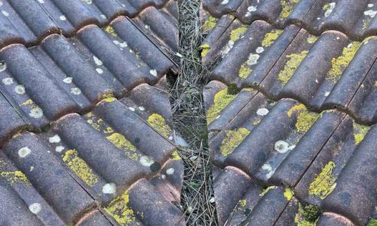 Nettoyage toiture antimousse Lacanau - Bordeaux Caudéran - CASTAING COUVERTURE